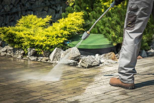 Best Roof Washing  in Clayton, MO