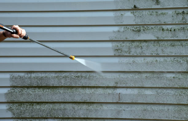 Best House Exterior Washing  in Clayton, MO